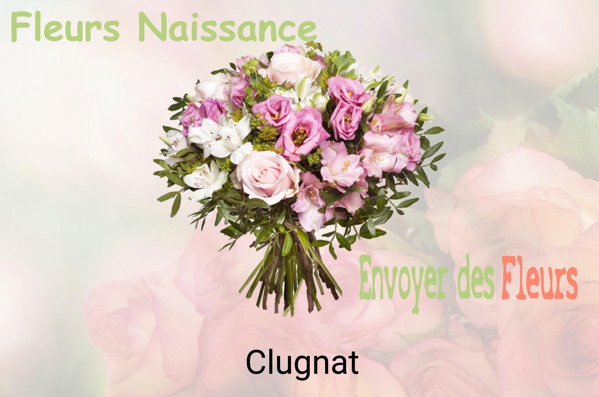 Bouquet de fleurs de naissance livré à Clugnat